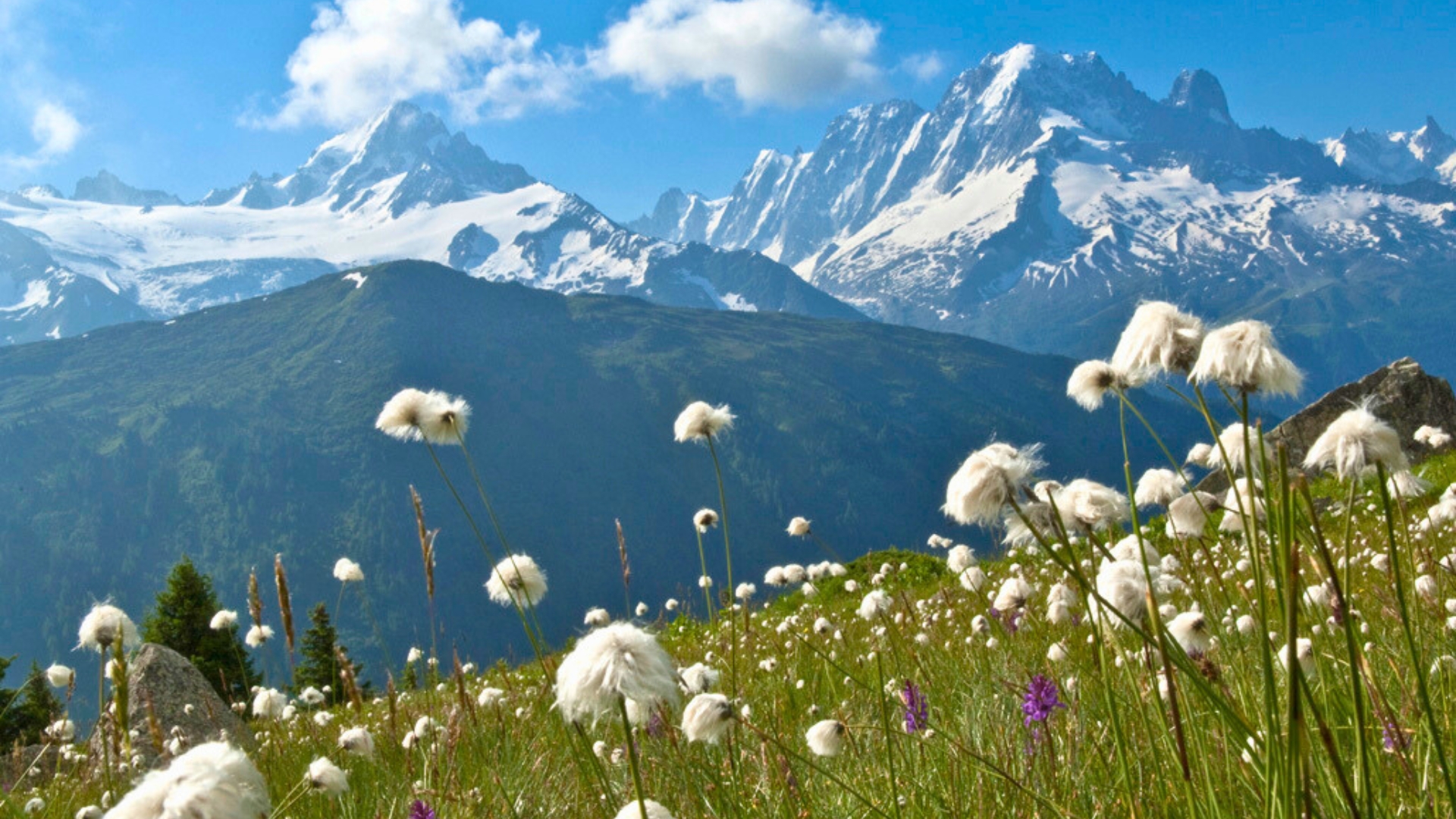 tour du mont blanc women only
