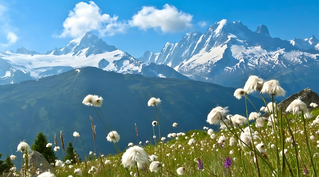 le tour du mont blanc en 10 étapes