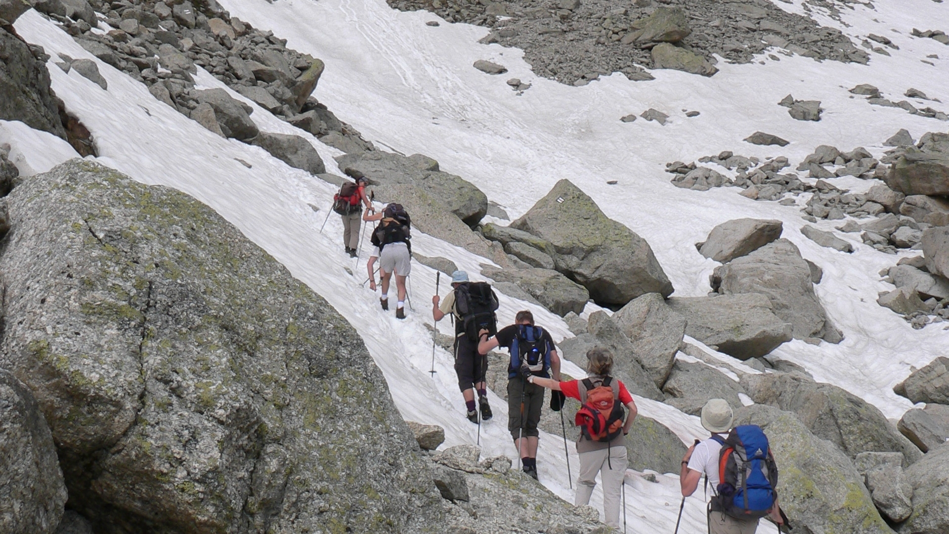 hiking poles 