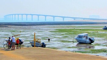 Vue su le pont de l'île de Ré en vélo