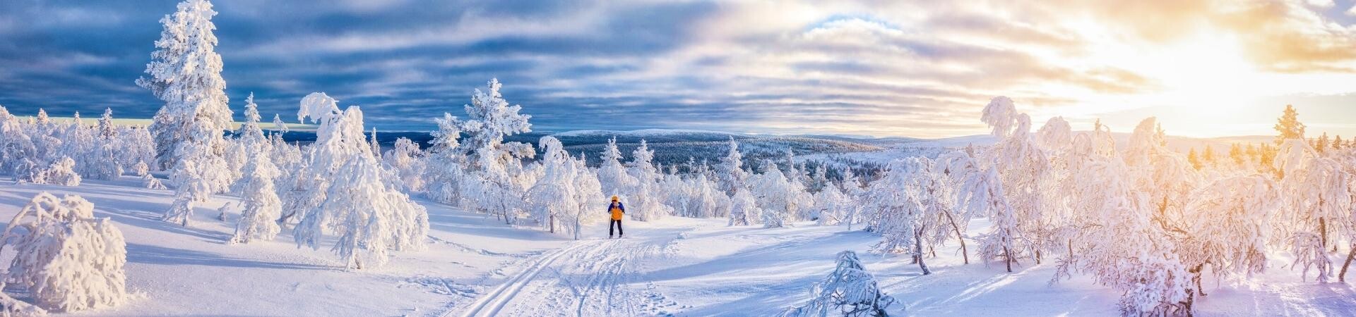 Scandinavia<br> <small style="font-size:12pt">Organized tours and all-inclusive vacations</small>