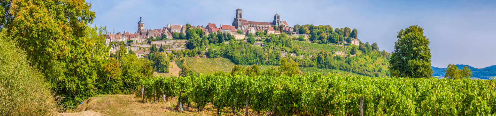 Organized cycling trips in Burgundy