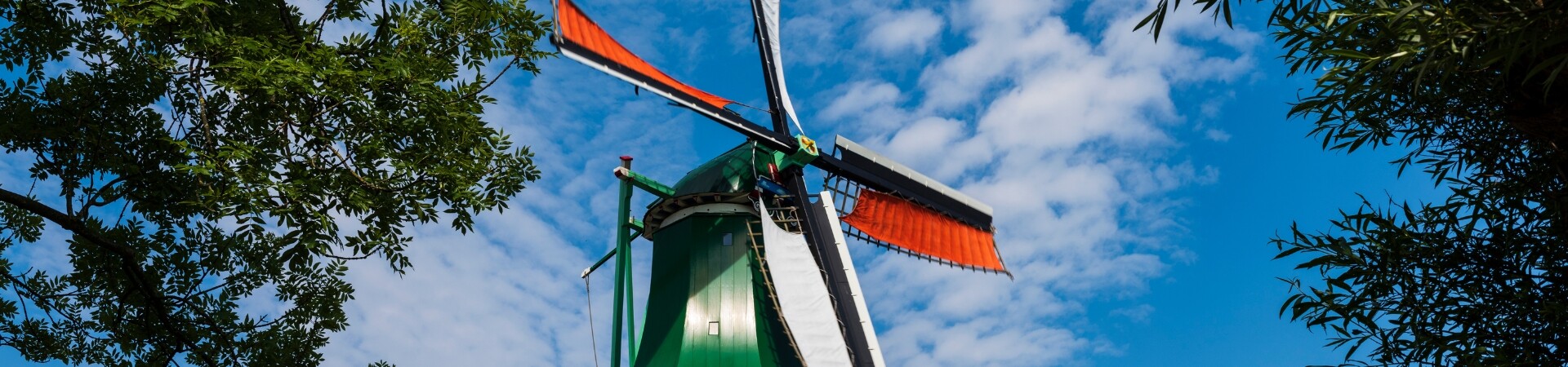 Cycling trips in the Netherlands