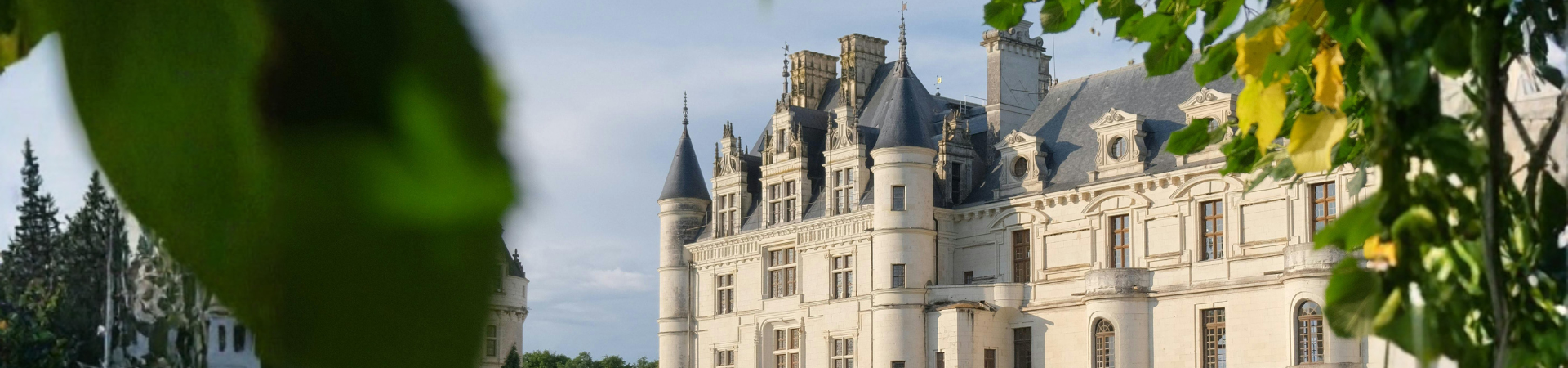 Organized tours in the Loire Valley