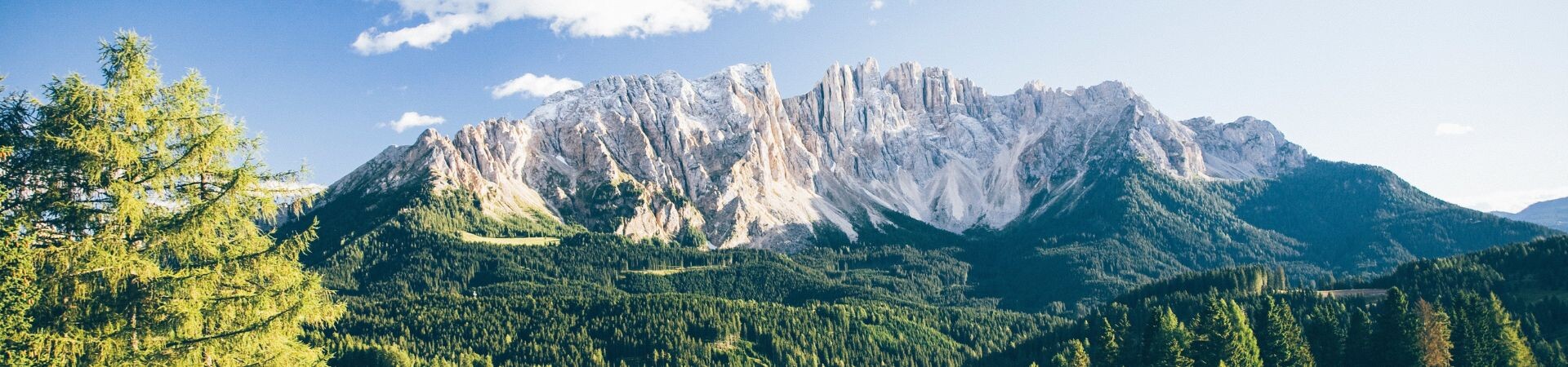 Organized tours in South Tyrol
