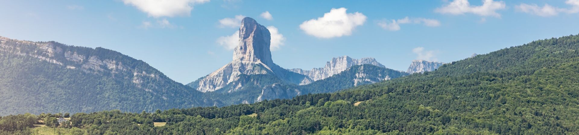 Organized tours in France