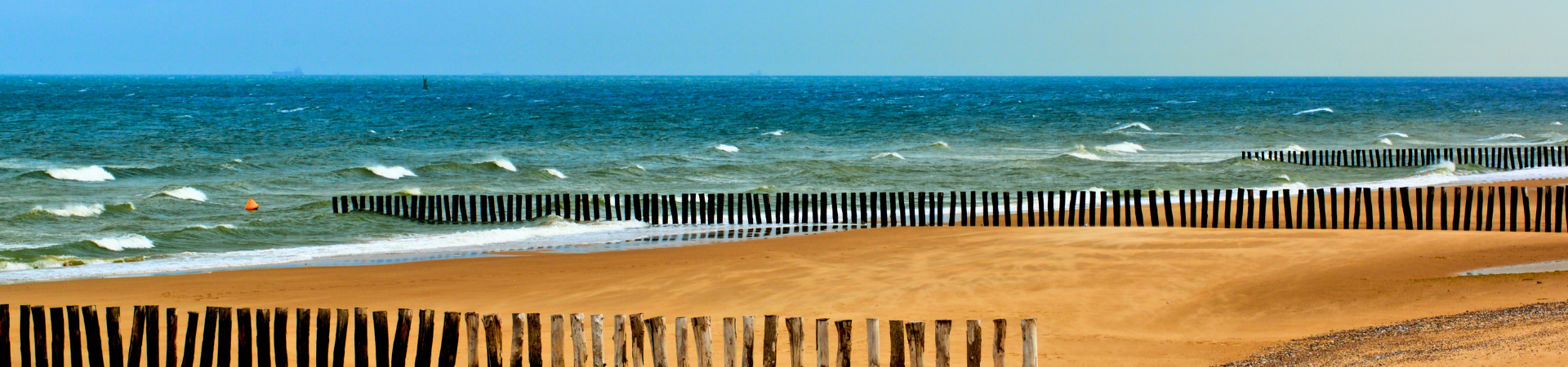Organized tours on Europe's Atlantic Coast