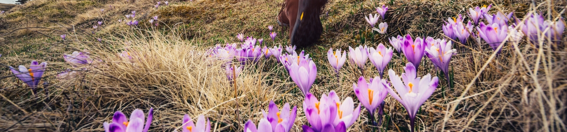 hiking in april