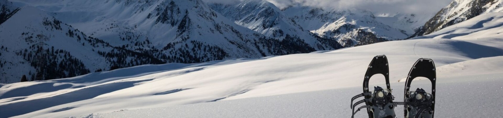 Skiing and Snowshoeing in the "Great White"