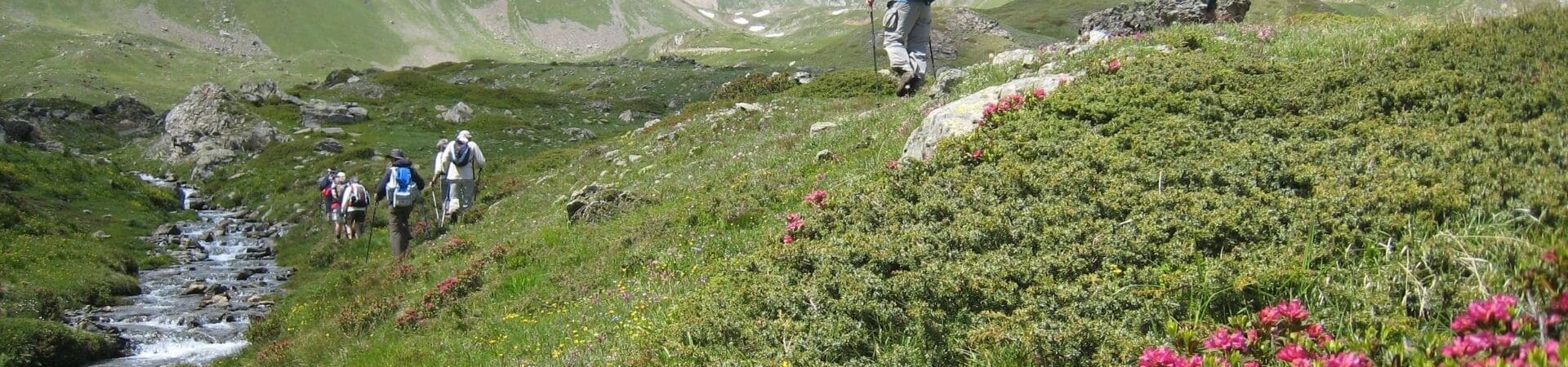 hiking in June