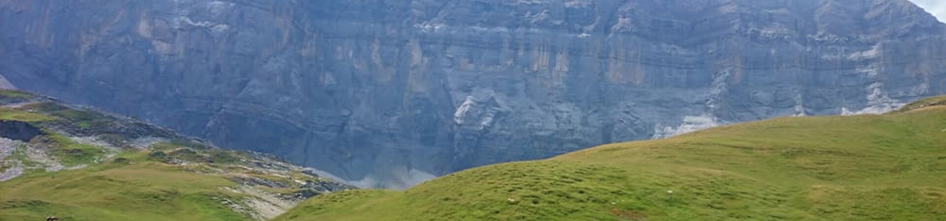 Guided walking tours in France