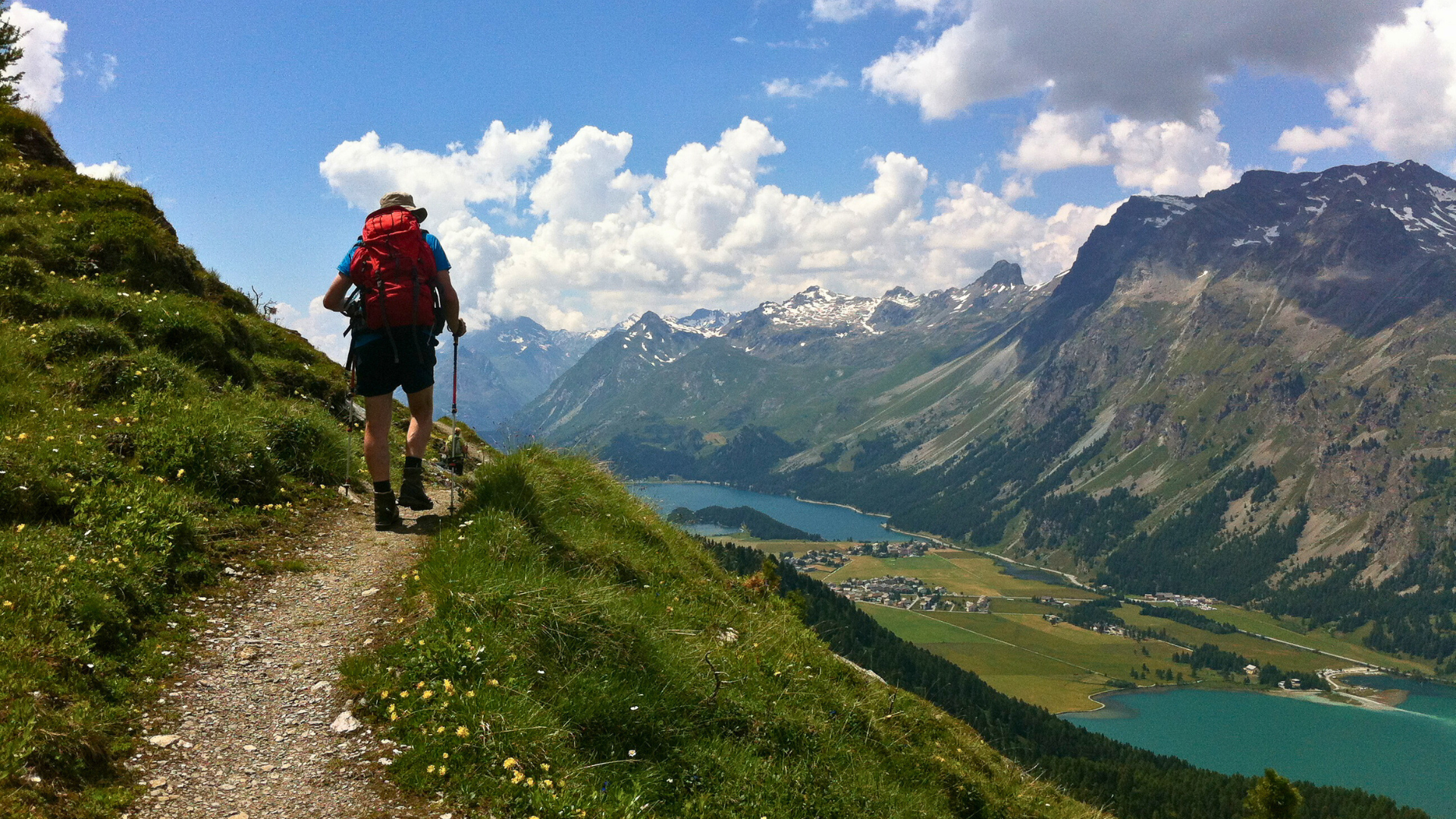 CHELP1004 - Engadine