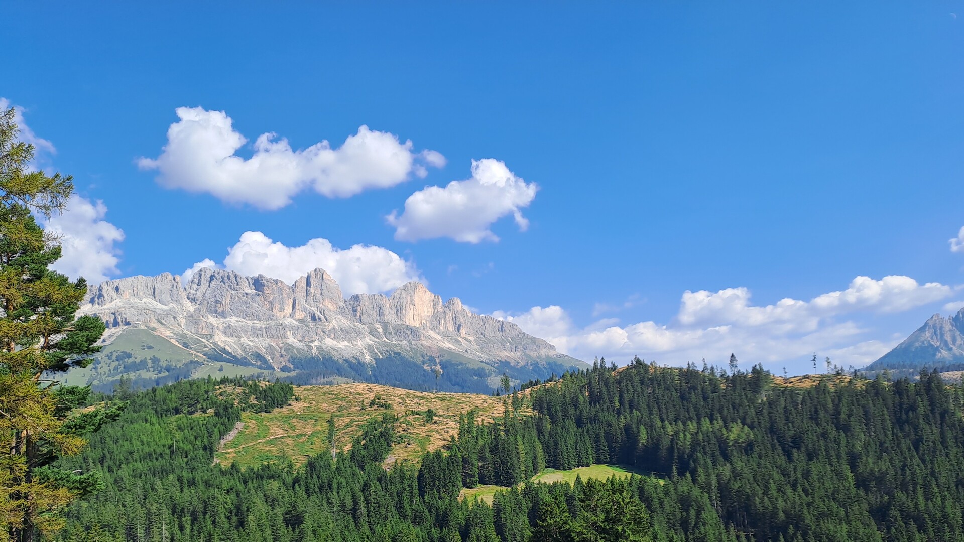 ITALP1030 - Catinaccio - Rosengarten