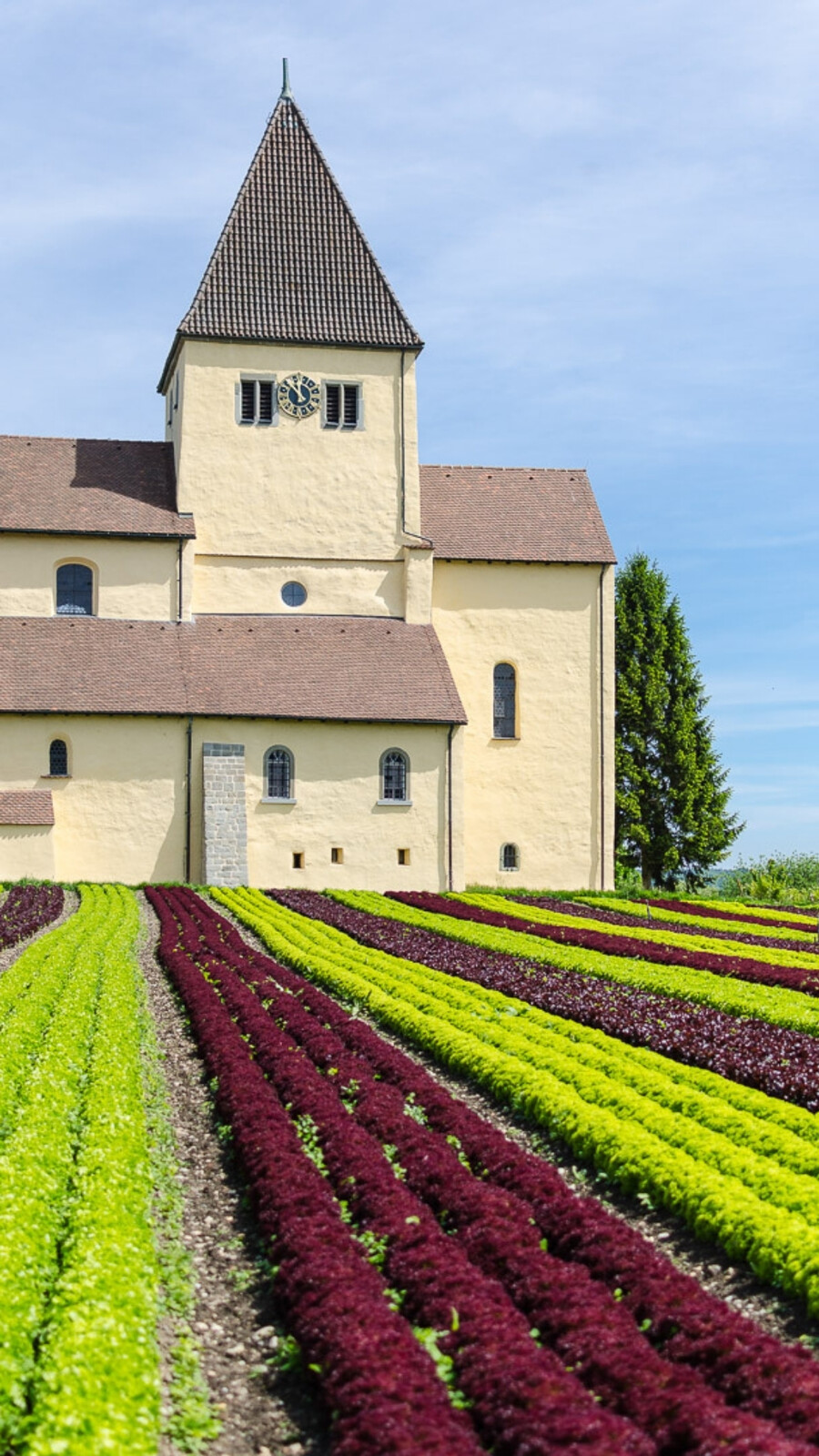 Reichenau island