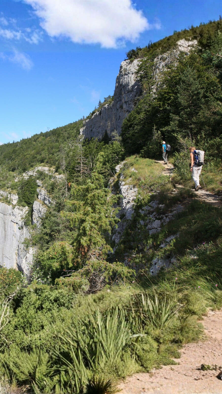 Path to RencureL