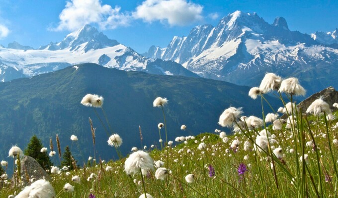 tour du mont blanc women only