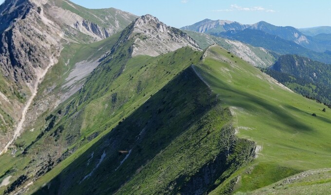 Guided Tours in Europe