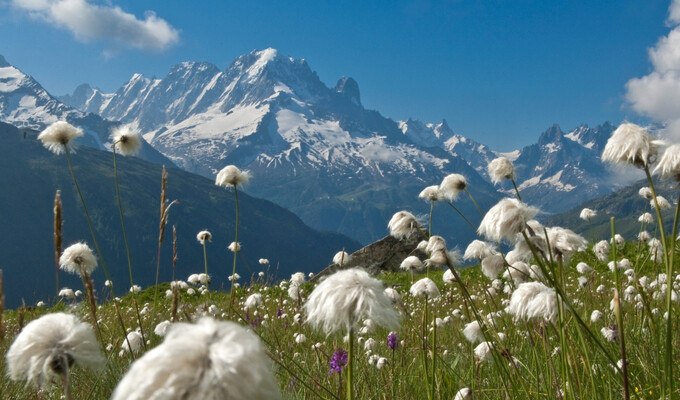 Trek 9 jours TMB - Mont-Blanc randonnée
