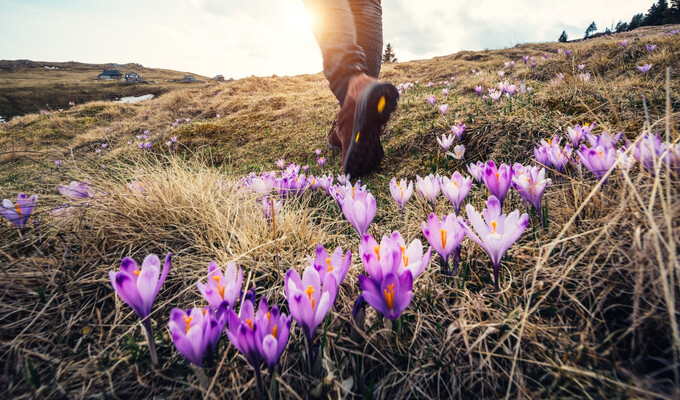 Hiking in April
