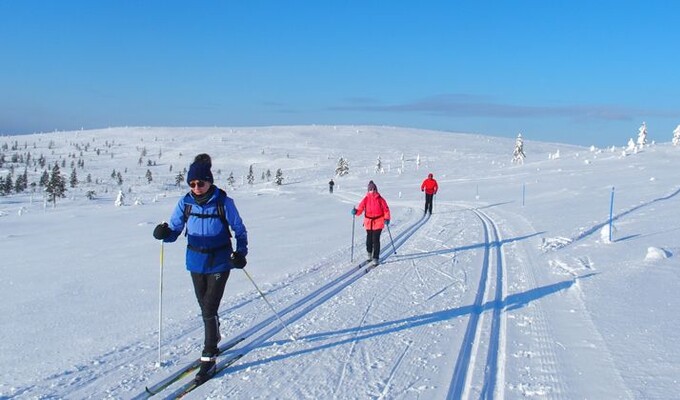 Ski de fond à Kiilopää en Laponie finlandaise © Jean-Claude Praire Ski de fond à Kiilopää en Laponie finlandaise