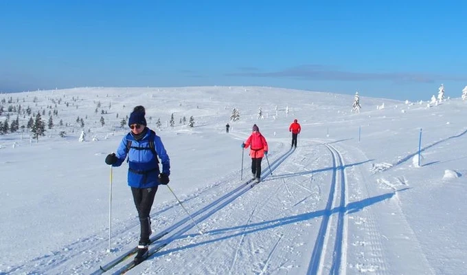 Ski de fond en Laponie finlandaise - Kiilopää Ski de fond en Laponie finlandaise - Kiilopää
