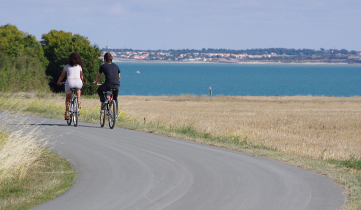 Cyclistes sur l'île de Ré